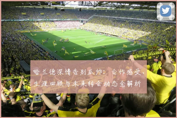 哈兰德深情告别瓜帅:合作感受、生涯回顾与未来转会动态全解析